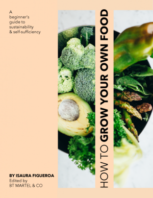 How To Grow Your Own Food by Isaura Figueroa (Interactive eBook)